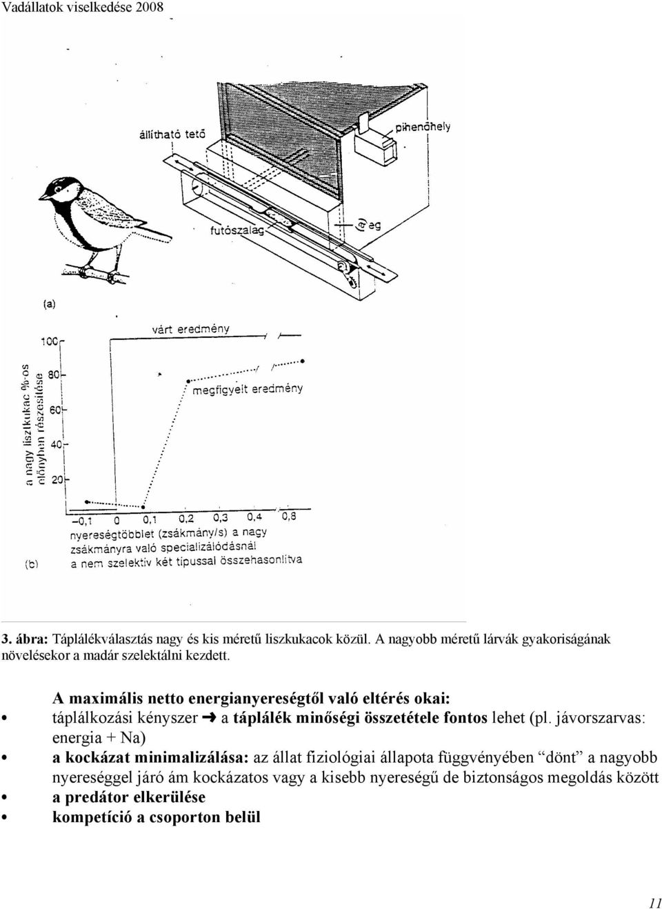 A maximális netto energianyereségtől való eltérés okai: táplálkozási kényszer º a táplálék minőségi összetétele fontos lehet (pl.