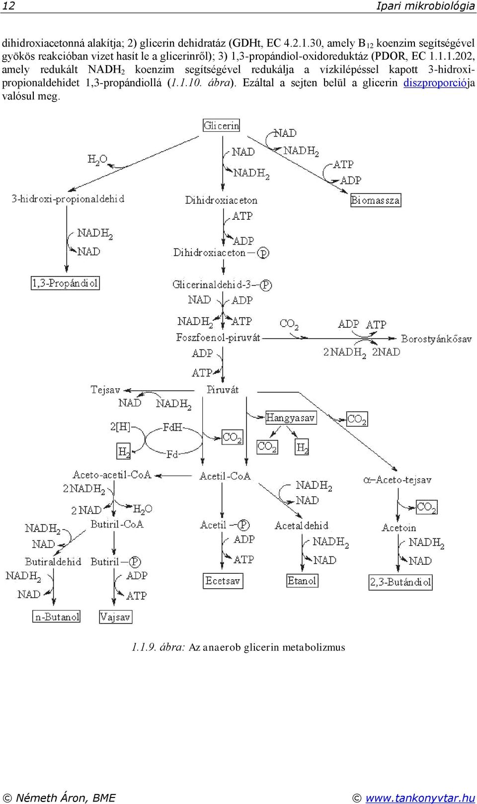 3-propándiol-oxidoreduktáz (PDOR, EC 1.