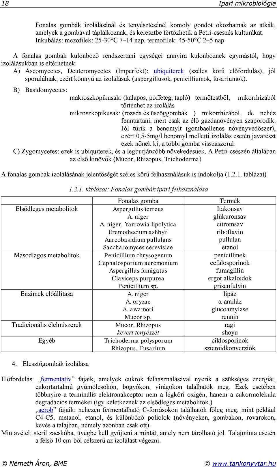 Deuteromycetes (Imperfekt): ubiquiterek (széles körű előfordulás), jól sporulálnak, ezért könnyű az izolálásuk (aspergillusok, penicilliumok, fusariumok).