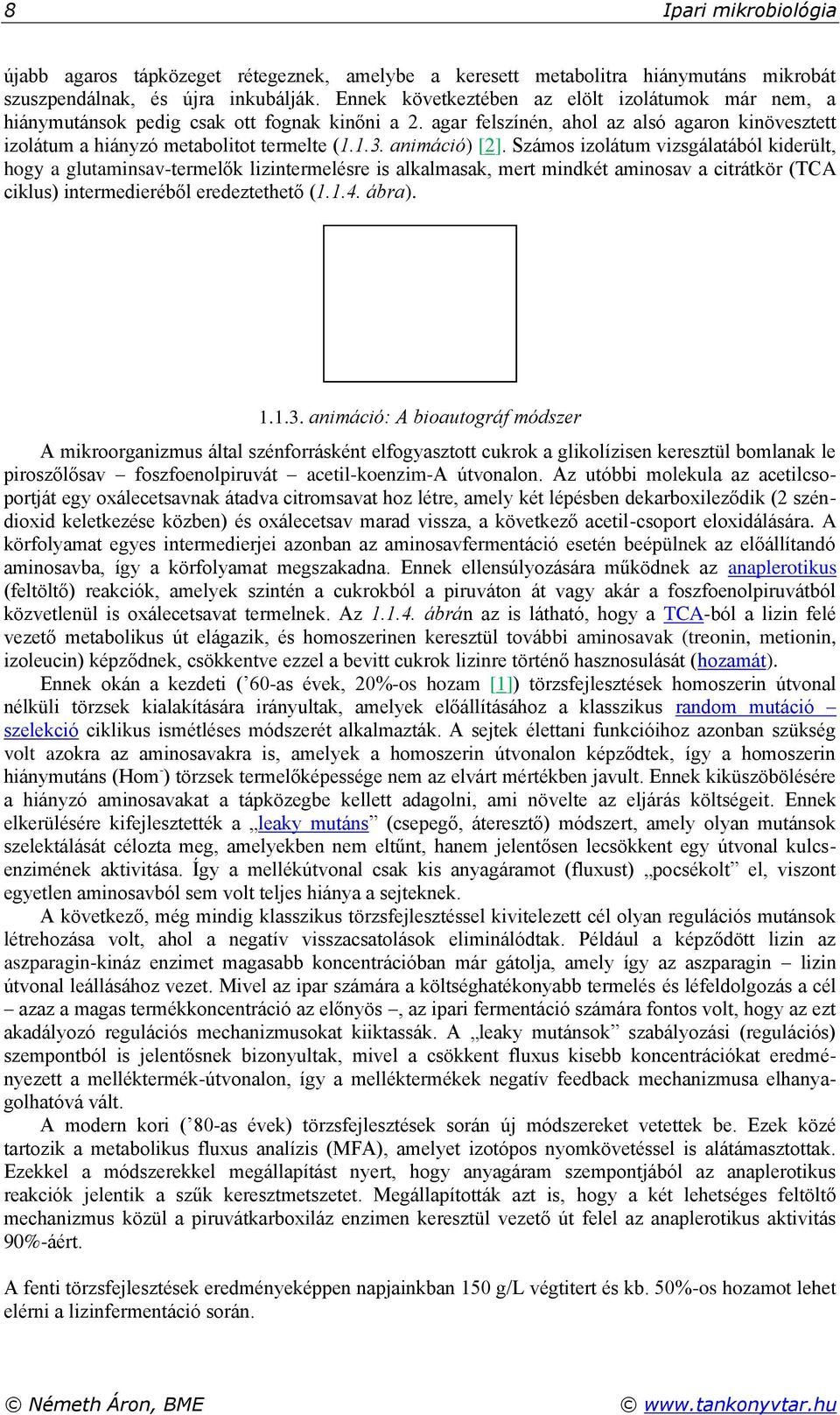 animáció) [2]. Számos izolátum vizsgálatából kiderült, hogy a glutaminsav-termelők lizintermelésre is alkalmasak, mert mindkét aminosav a citrátkör (TCA ciklus) intermedieréből eredeztethető (1.1.4.