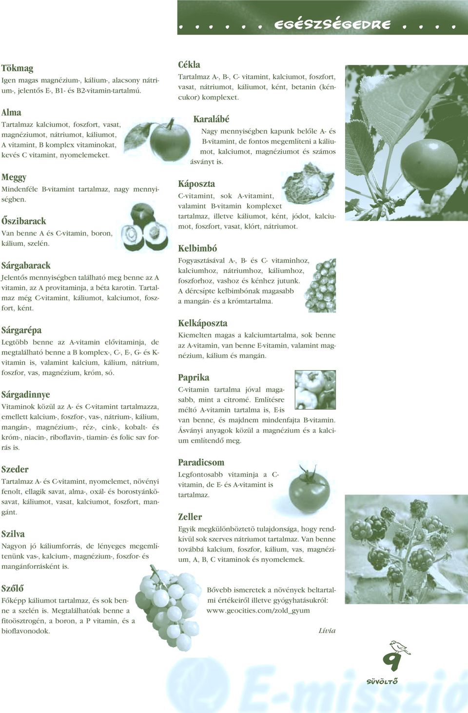 Meggy Mindenféle B-vitamint tartalmaz, nagy mennyiségben. Ôszibarack Van benne A és C-vitamin, boron, kálium, szelén.