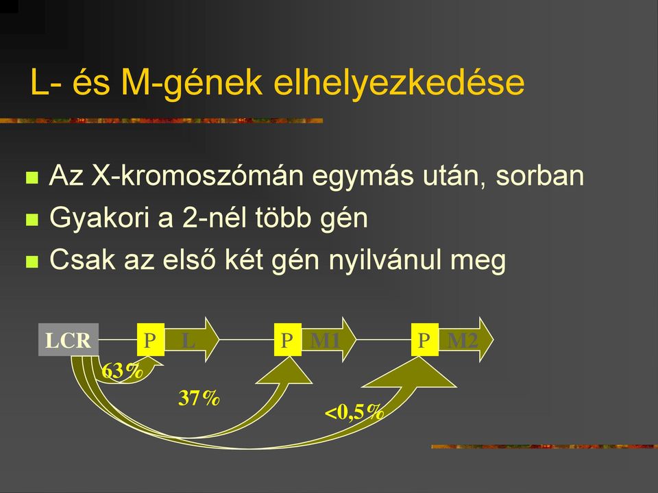 Gyakori a 2-nél több gén Csak az első