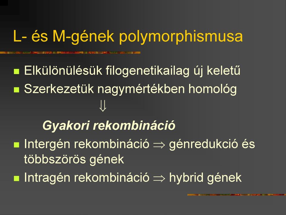 homológ Gyakori rekombináció Intergén rekombináció