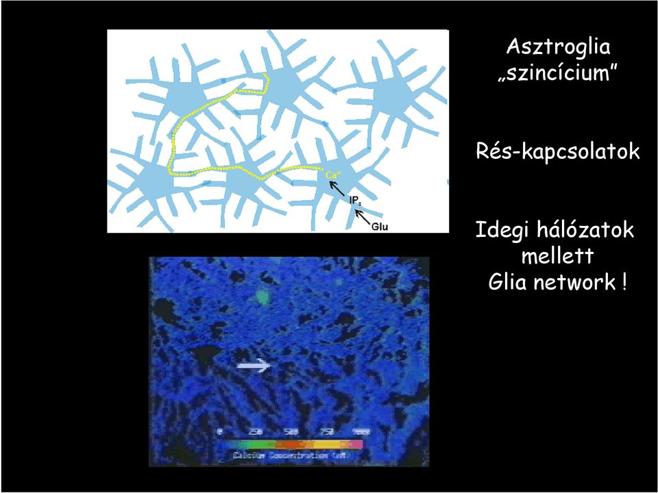 Rés-kapcsolatok