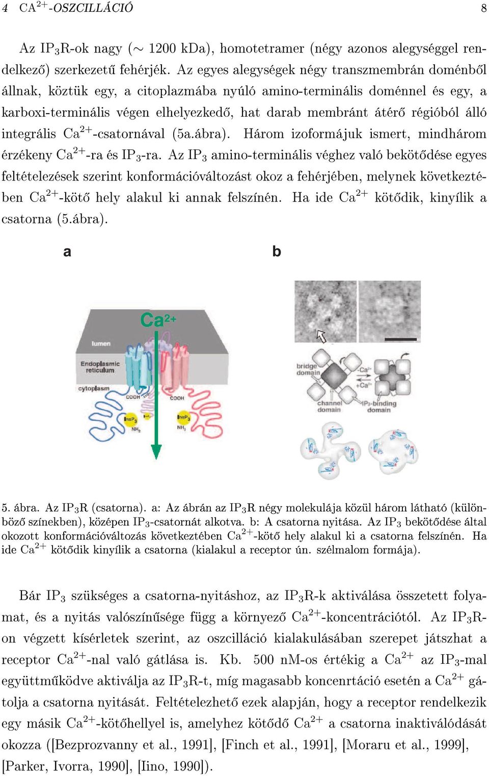 integrális Ca 2+ -csatornával (5a.ábra). Három izoformájuk ismert, mindhárom érzéken Ca 2+ -ra és IP 3 -ra.