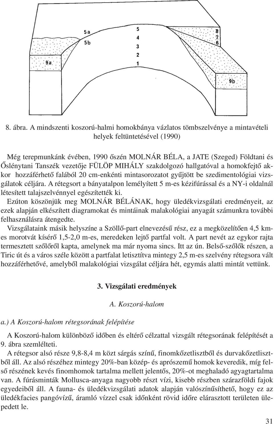 Tanszék vezetôje FÜLÖP MIHÁLY szakdolgozó hallgatóval a homokfejtô akkor hozzáférhetô falából 20 cm-enkénti mintasorozatot gyûjtött be szedimentológiai vizsgálatok céljára.