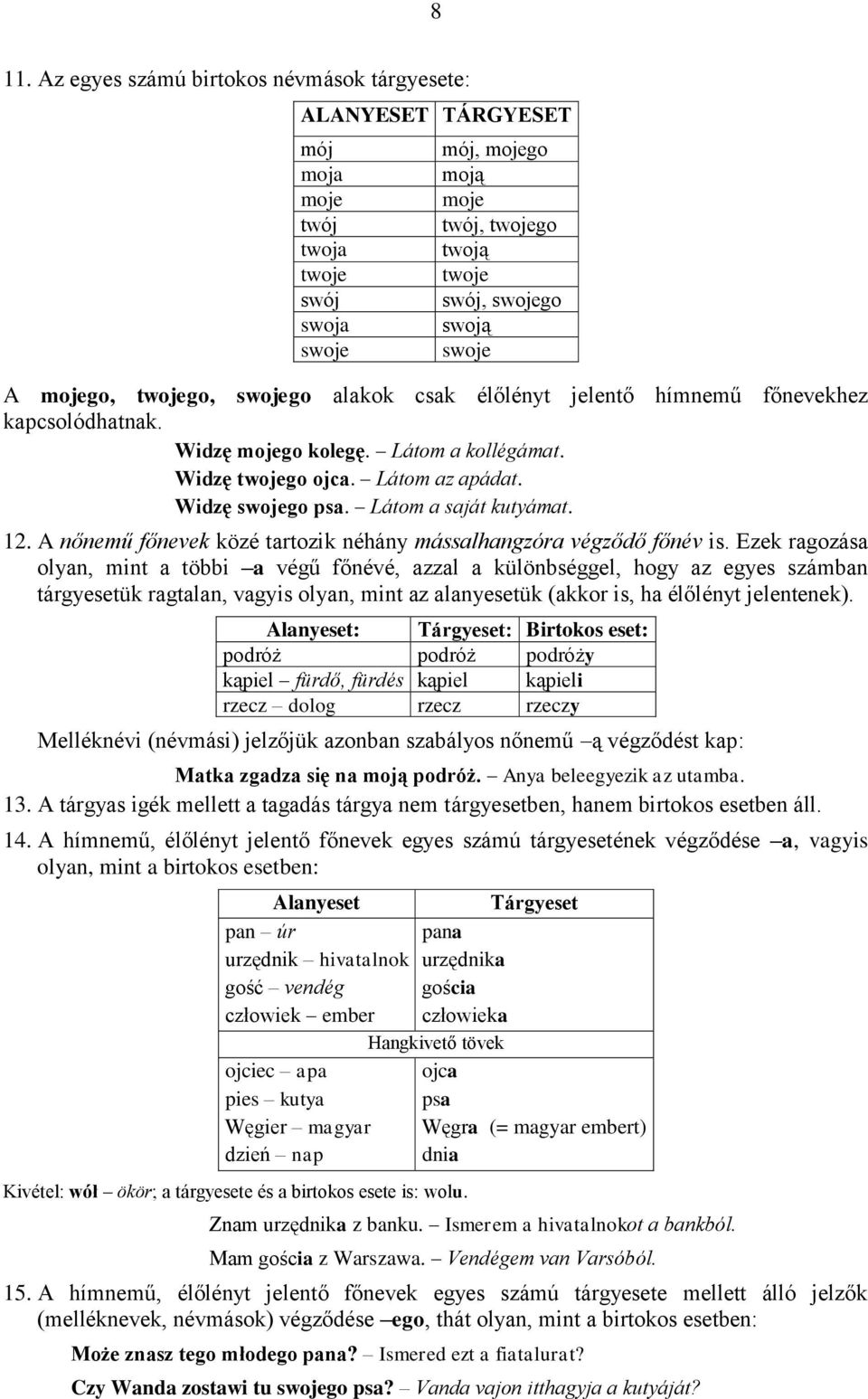 Látom a saját kutyámat. 12. A nőnemű főnevek közé tartozik néhány mássalhangzóra végződő főnév is.