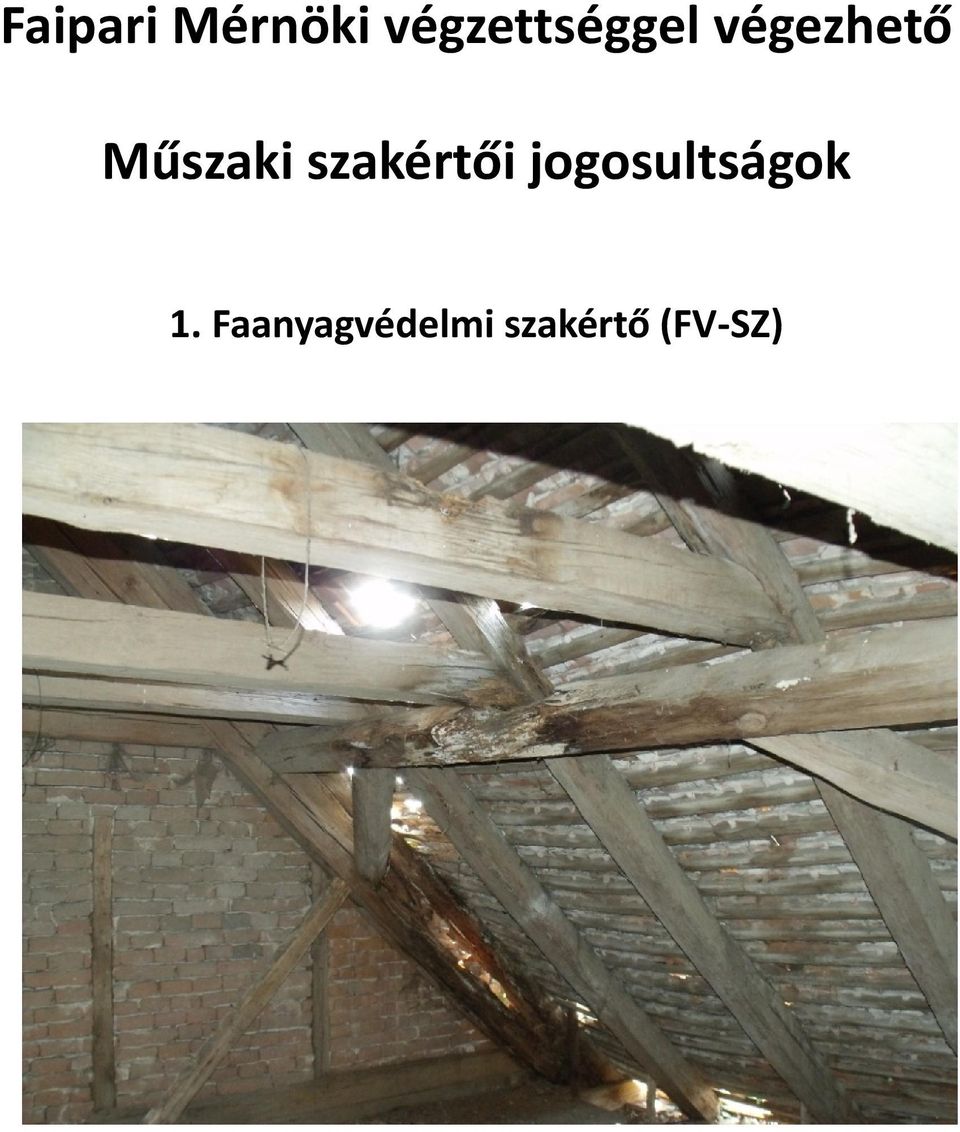 Műszaki szakértői