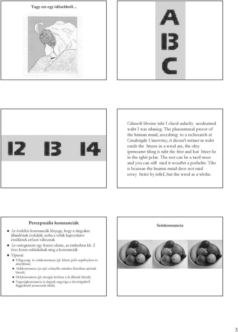 lsat ltteer be in the rghit pclae. The rset can be a taotl mses and you can sitll raed it wouthit a porbelm.