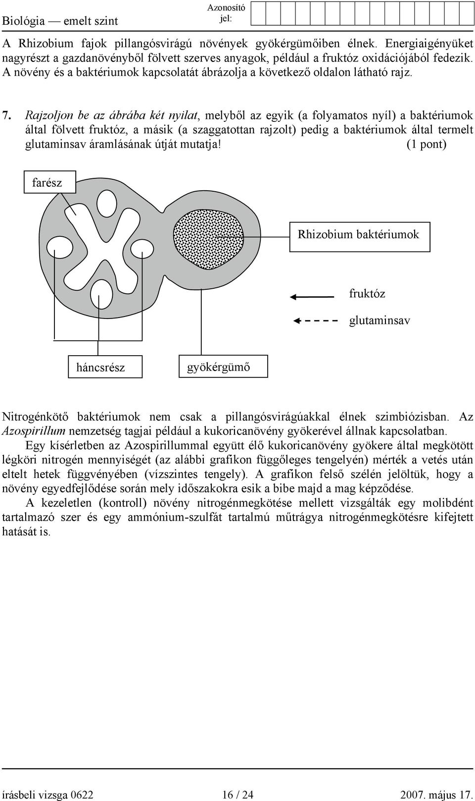 Rajzoljon be az ábrába két nyilat, melyből az egyik (a folyamatos nyíl) a baktériumok által fölvett fruktóz, a másik (a szaggatottan rajzolt) pedig a baktériumok által termelt glutaminsav áramlásának