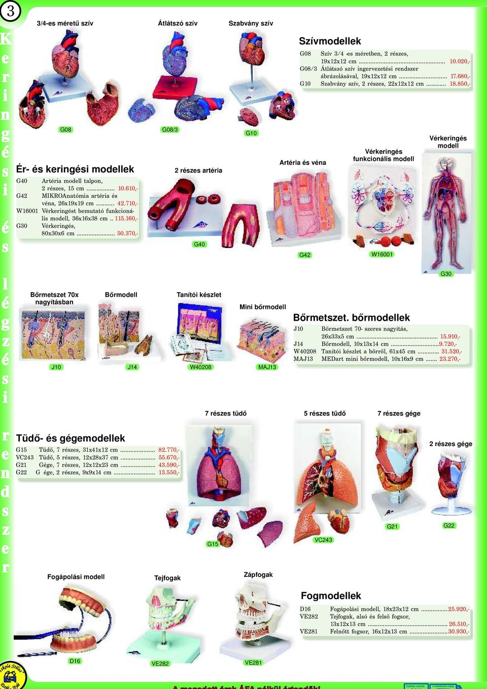 17.680,- G10Sabványív,2é,2x12x12cm. 18.850,- Atéia é véna G42 Vékingé funkcionáli modll W16001 Vékingé modll l é g é i n d Bőmtt 70x nagyítában J10 Tüdő- é gégmodllk D16 Fogápoláimodl,18x23x12cm. 25.