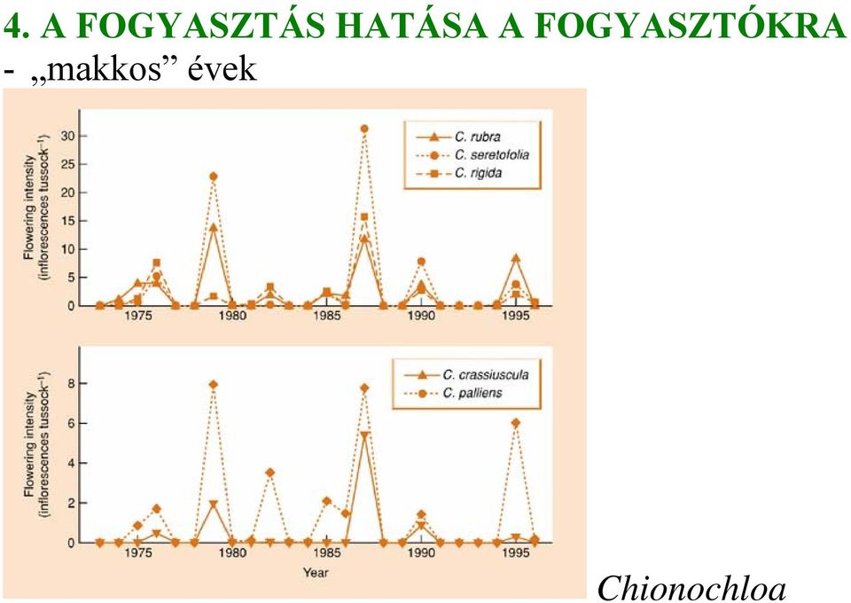 FOGYASZTÓKRA -