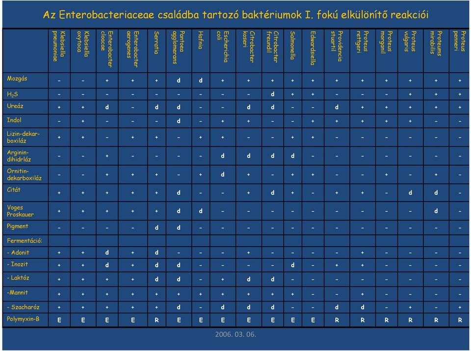 Escherichia coli Hafnia Pantoea agglomerans Serratia Enterobacter aerogenes Enterobacter cloacae Klebsiella oxytoca Klebsiella pneumoniae Mozgás - - + + + d d + + + + + + + + + + + H 2 S - - - - - -