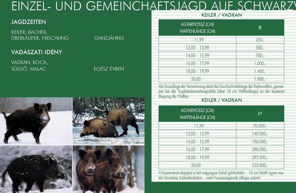 900,- Als Grundlage der Verrechnung dient die Durchschnittslänge der Keilerwaffen, gemessen bei der Trophäenbewertungsstelle (über 16 cm Waffenlänge) an der äusseren Biegung der Waffen.