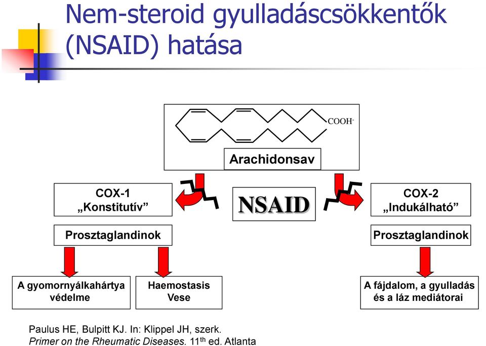 gyomornyálkahártya védelme Haemostasis Vese A fájdalom, a gyulladás és a láz