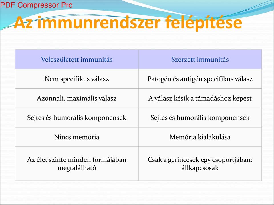 specifikus válasz A válasz késik a támadáshoz képest Sejtes és humorális komponensek Memória