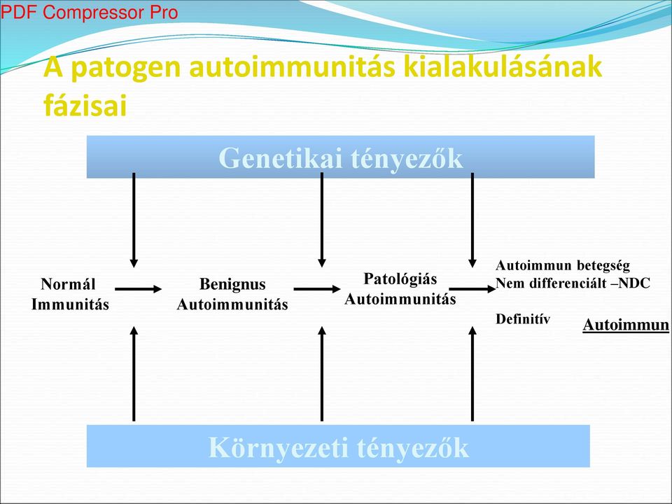 Autoimmunitás Patológiás Autoimmunitás Autoimmun