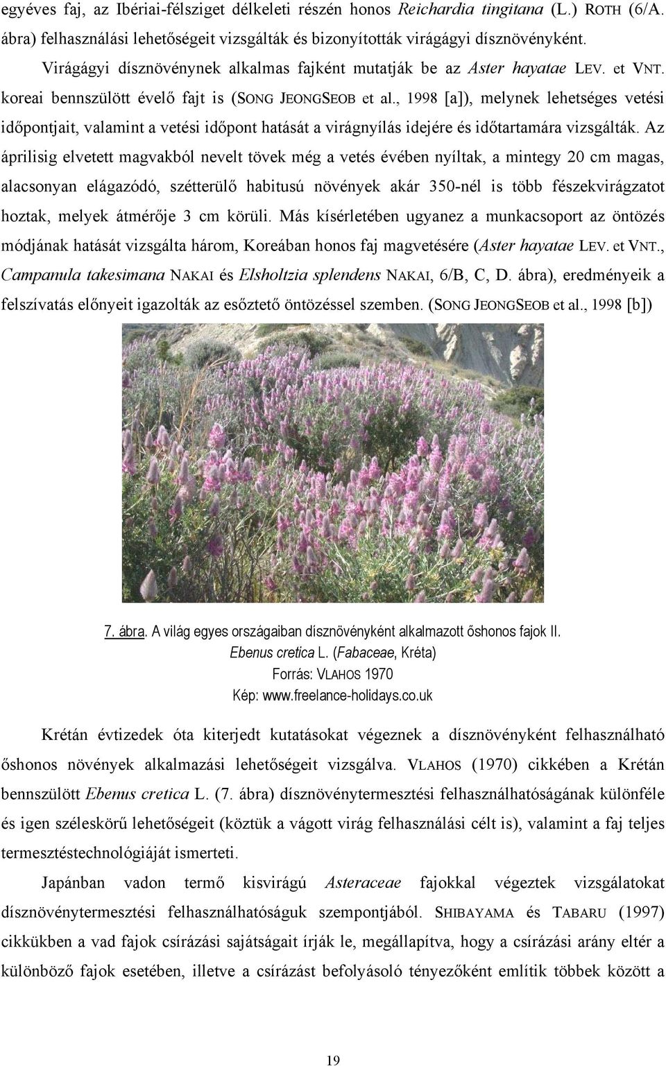 , 1998 [a]), melynek lehetséges vetési időpontjait, valamint a vetési időpont hatását a virágnyílás idejére és időtartamára vizsgálták.