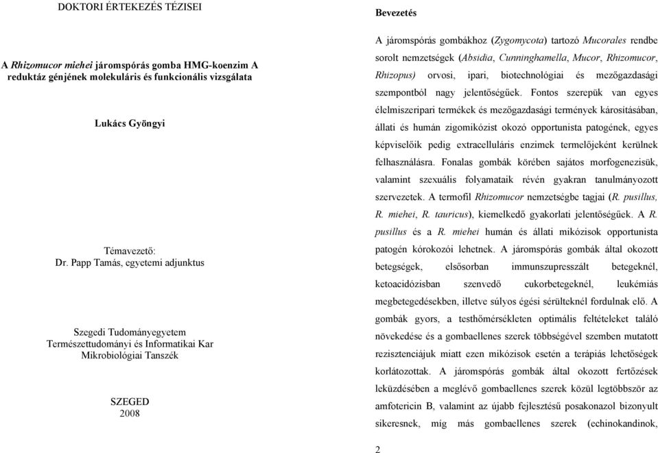 rendbe sorolt nemzetségek (Absidia, Cunninghamella, Mucor, Rhizomucor, Rhizopus) orvosi, ipari, biotechnológiai és mezőgazdasági szempontból nagy jelentőségűek.