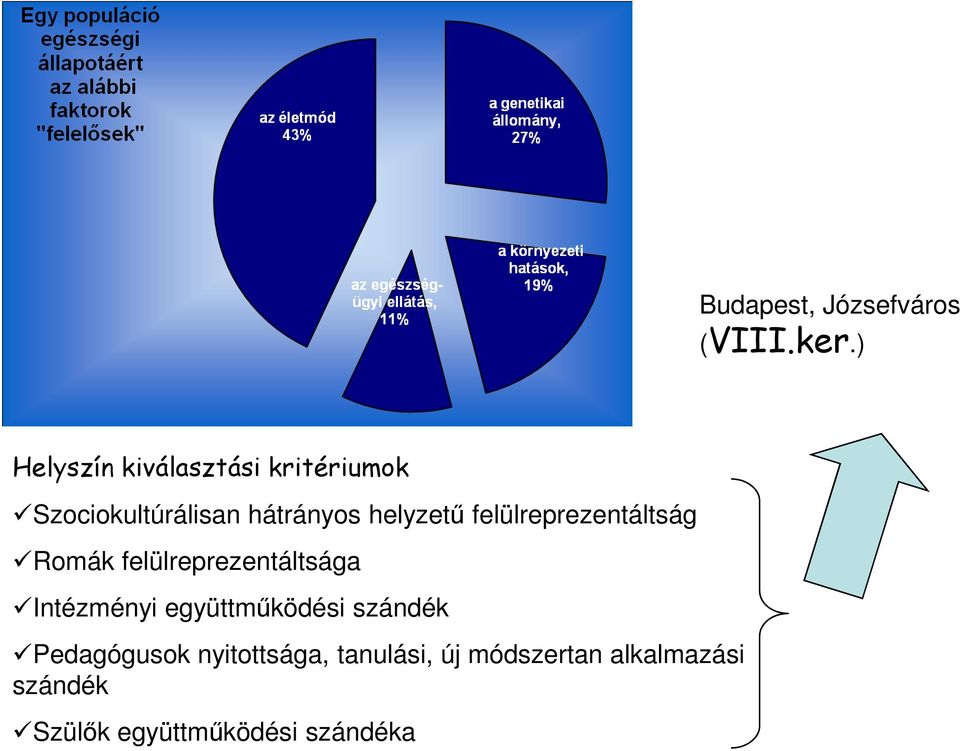 helyzető felülreprezentáltság Romák felülreprezentáltsága Intézményi