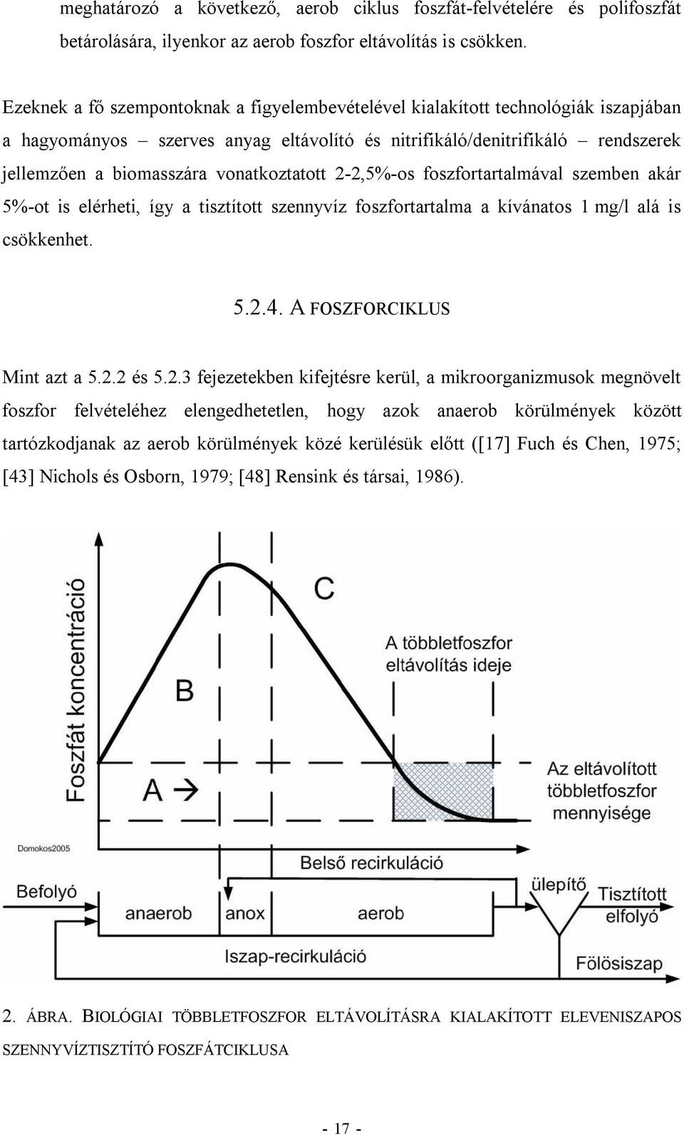 vonatkoztatott 2 2,5% os foszfortartalmával szemben akár 5% ot is elérheti, így a tisztított szennyvíz foszfortartalma a kívánatos 1 mg/l alá is csökkenhet. 5.2.4. A FOSZFORCIKLUS Mint azt a 5.2.2 és 5.