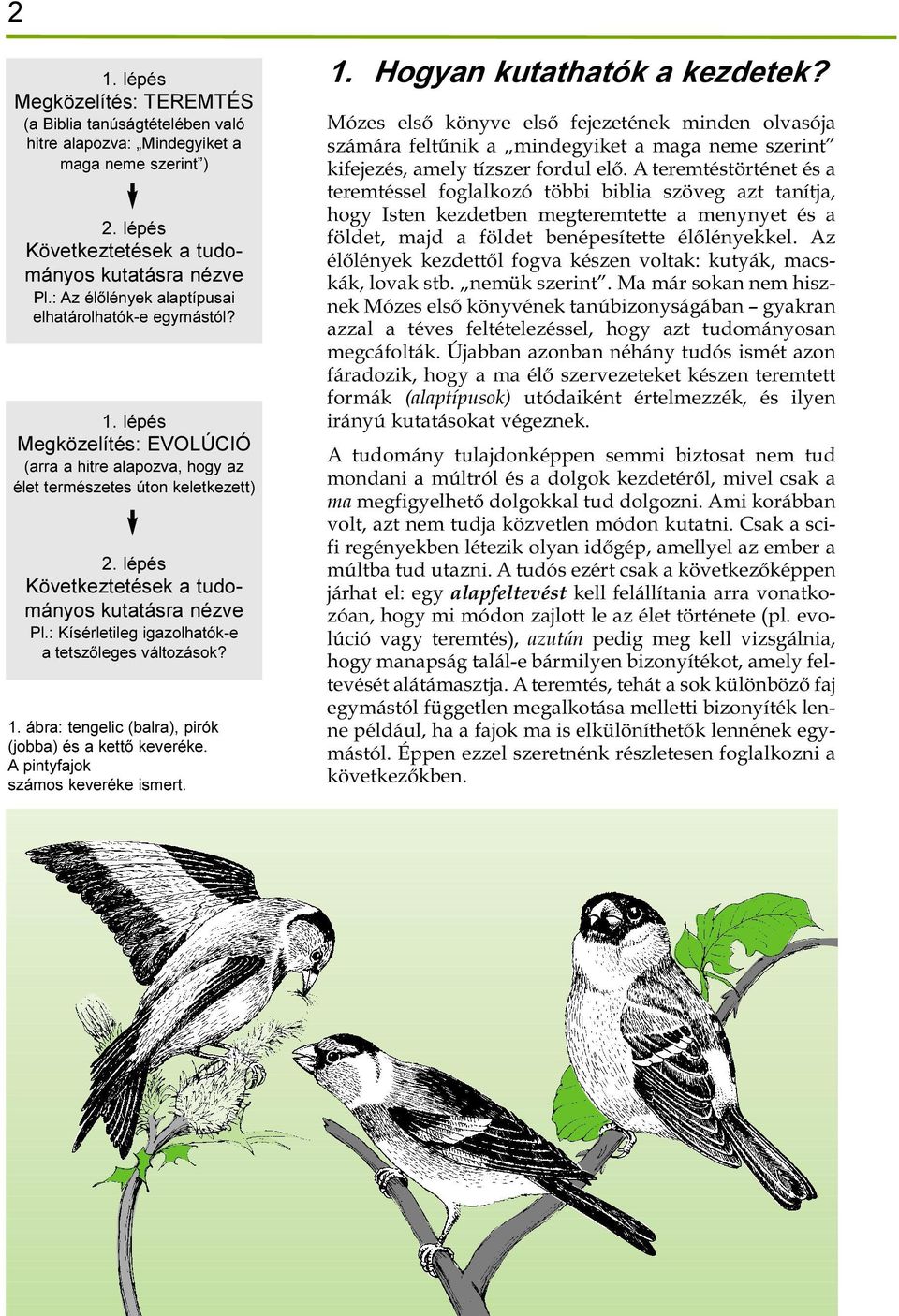 lépés Következtetések a tudományos kutatásra nézve Pl.: Kísérletileg igazolhatók-e a tetszõleges változások? 1. ábra: tengelic (balra), pirók (jobba) és a kettõ keveréke.