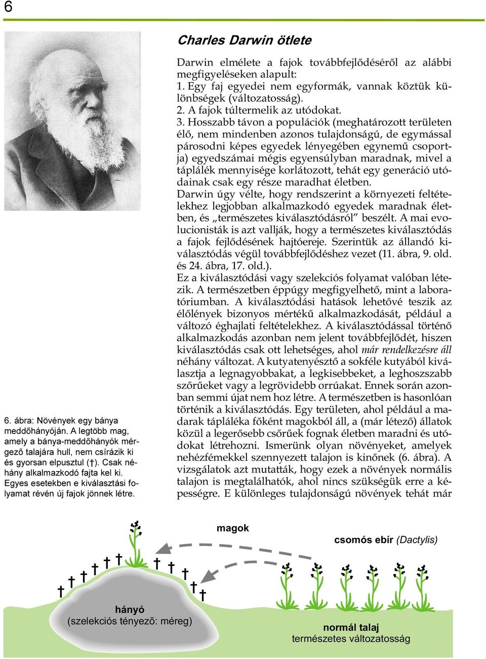 Egy faj egyedei nem egyformák, vannak köztük különbségek (változatosság). 2. A fajok túltermelik az utódokat. 3.