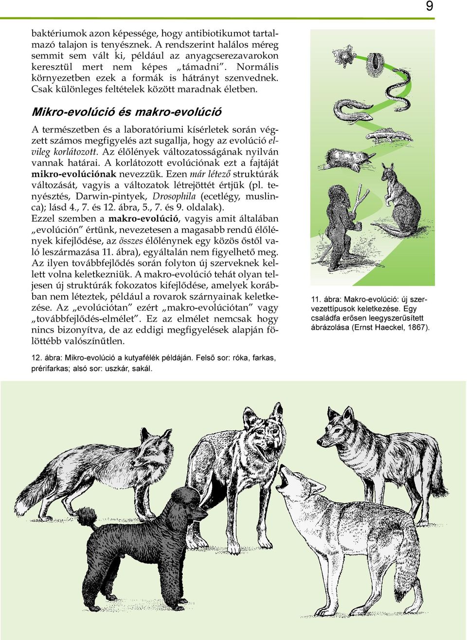 Mikro-evolúció és makro-evolúció A természetben és a laboratóriumi kísérletek során végzett számos megfigyelés azt sugallja, hogy az evolúció elvileg korlátozott.