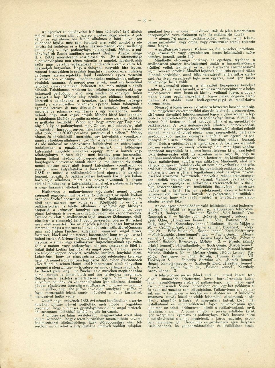 á s á n á l c s a k m e l l e s l e g említik meg a kutya patkányfogó tulajdonságát. Méhely a pat kányfogó e b (Canis familiáris gryphus) [ B r e h m. Állatok világa II. k. 1500.