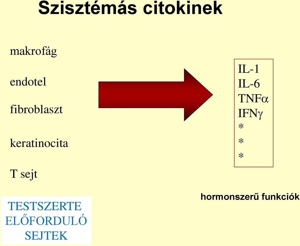 sejt TESTSZERTE ELŐFORDULÓ SEJTEK