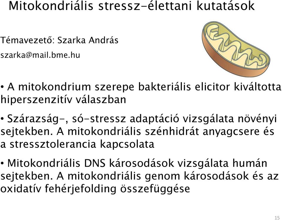 adaptáció vizsgálata növényi sejtekben.