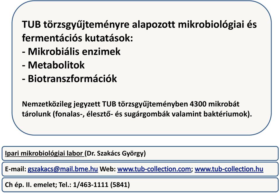 4300 mikrobát tárolunk (fonalas-, élesztő- és sugárgombák valamint baktériumok).