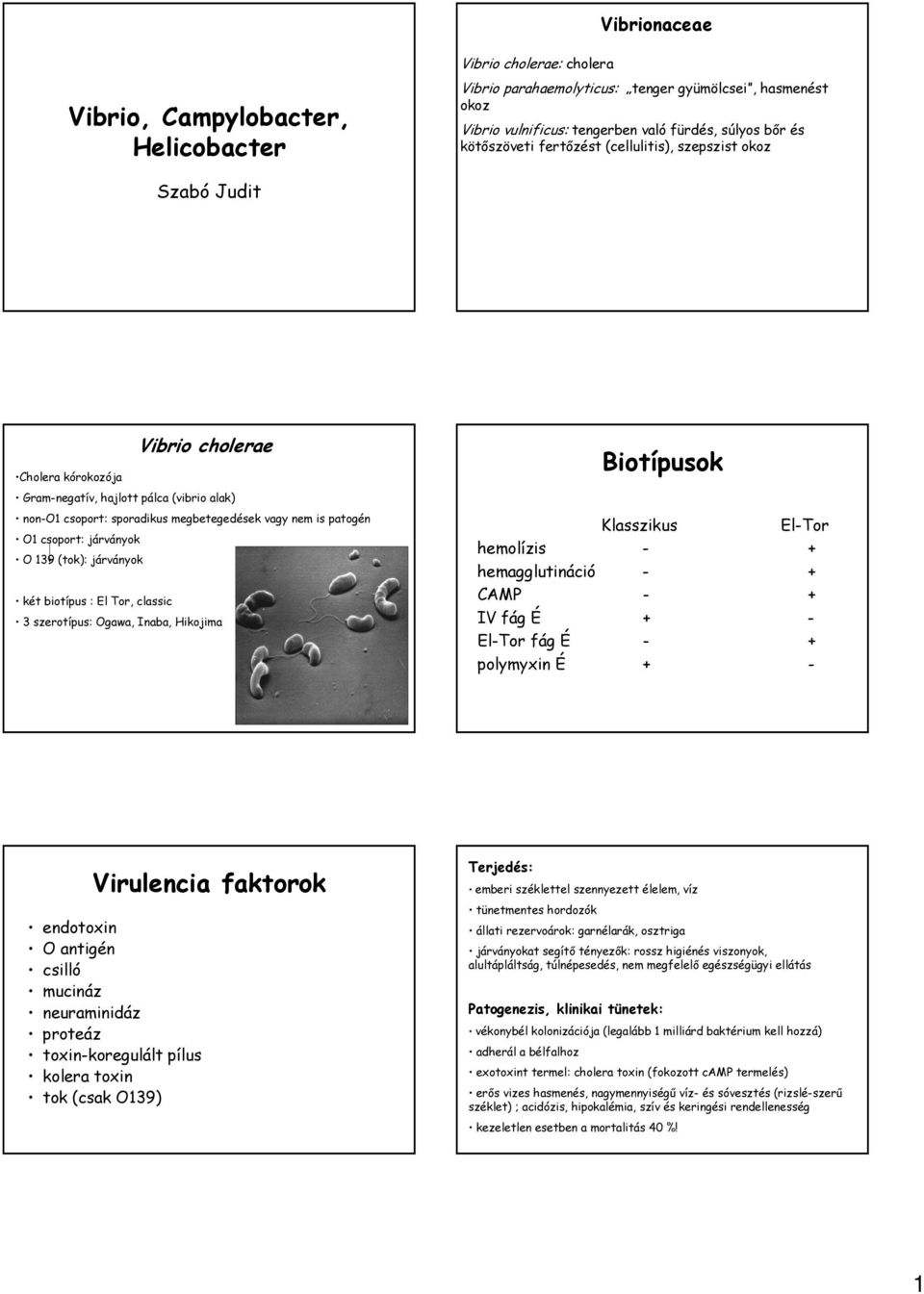 O1 csoport: járványok O 139 (tok): járványok két biotípus : El Tor, classic 3 szerotípus: Ogawa, Inaba, Hikojima Biotípusok Klasszikus ElTor hemolízis + hemagglutináció + CAMP + IV fág É + ElTor fág