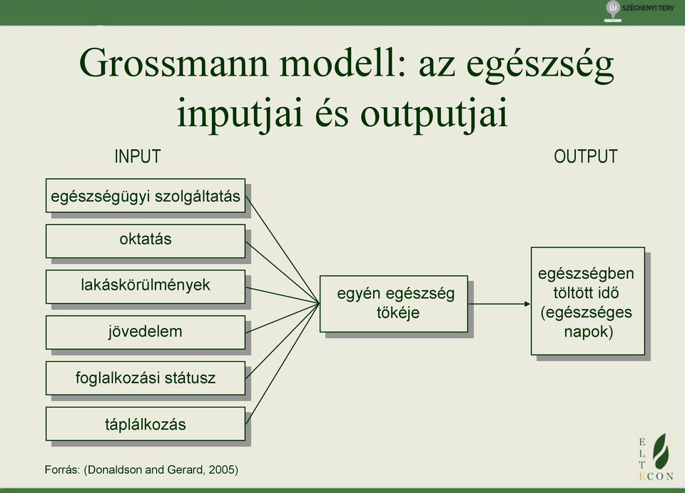 egyén egészség tőkéje egészségben töltött idő (egészséges napok)