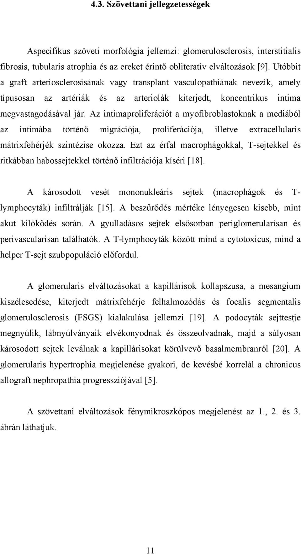 Az intimaproliferációt a myofibroblastoknak a mediából az intimába történő migrációja, proliferációja, illetve extracellularis mátrixfehérjék szintézise okozza.