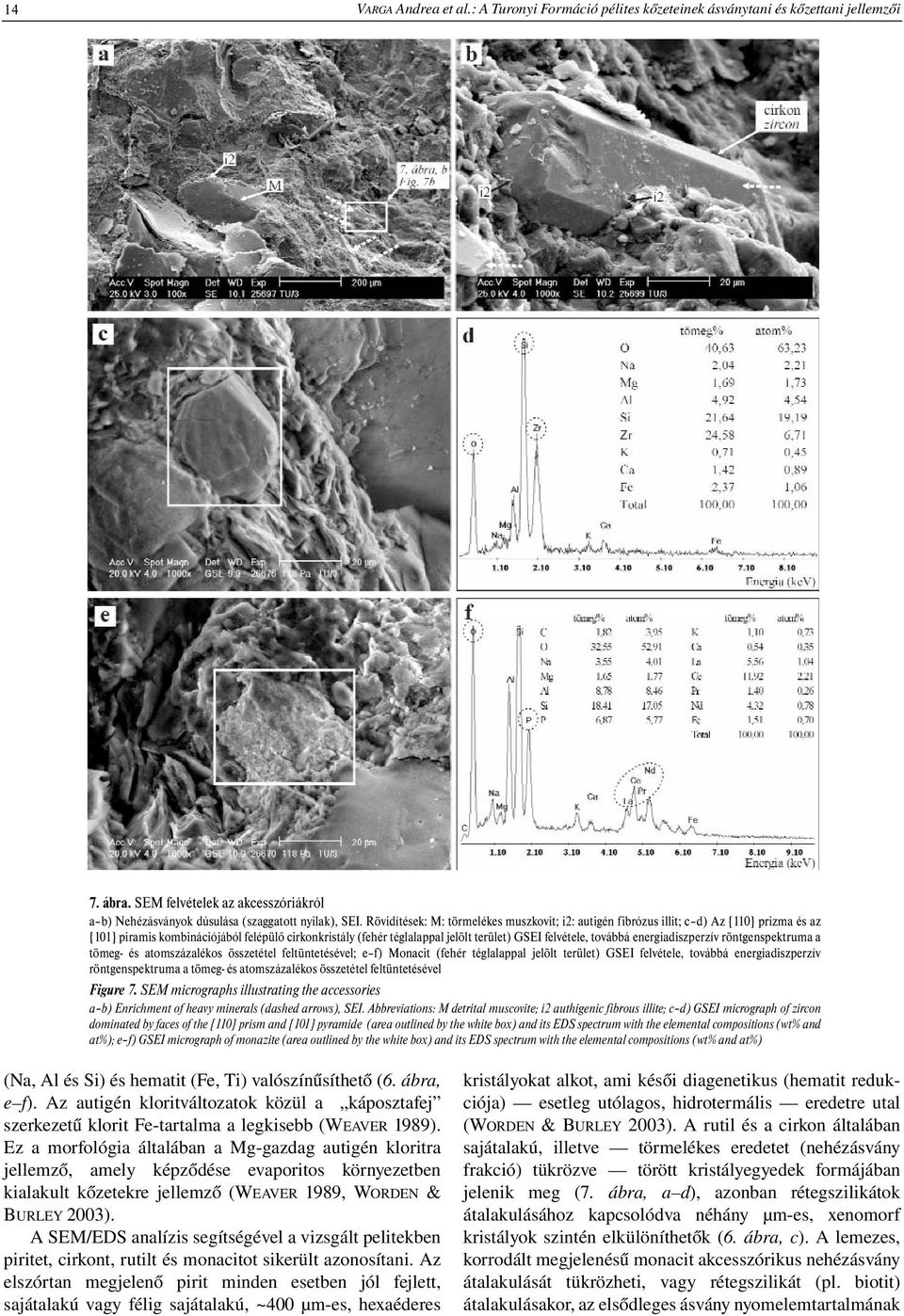 továbbá energiadiszperzív röntgenspektruma a tömeg- és atomszázalékos összetétel feltüntetésével; e f) Monacit (fehér téglalappal jelölt terület) GSEI felvétele, továbbá energiadiszperzív