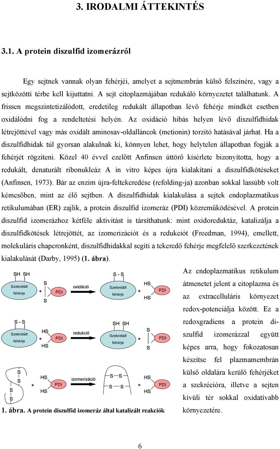 Az oxidáció hibás helyen lév diszulfidhidak létrejöttével vagy más oxidált aminosav-oldalláncok (metionin) torzító hatásával járhat.