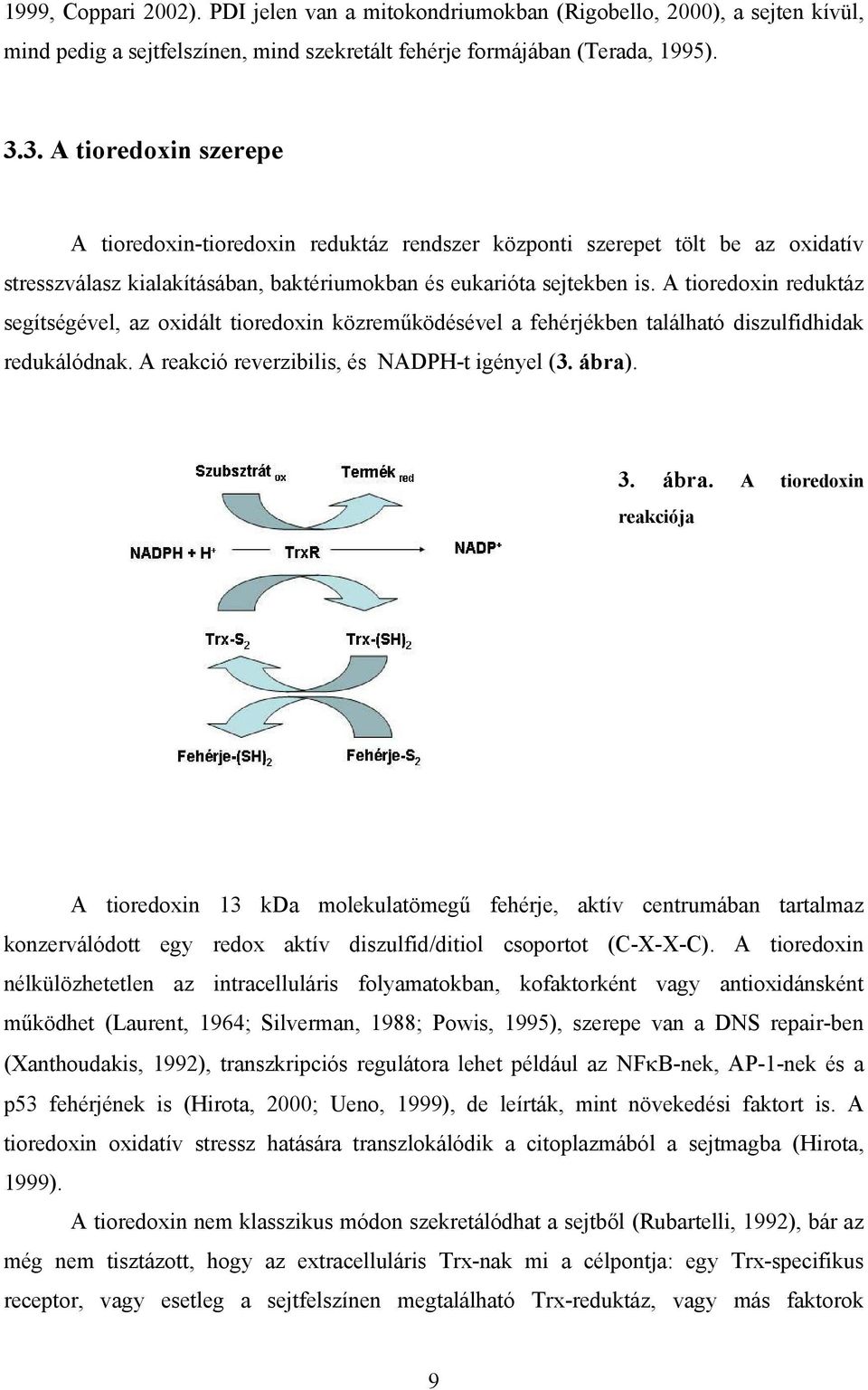 A tioredoxin reduktáz segítségével, az oxidált tioredoxin közrem ködésével a fehérjékben található diszulfidhidak redukálódnak. A reakció reverzibilis, és NADPH-t igényel (3. ábra)