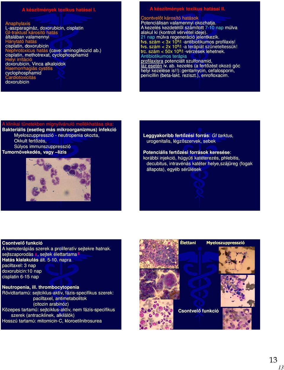 ) cisplatin, methotrexat, cyclophosphamid Helyi irritáció doxorubicin, Vinca alkaloidok Haemorrhagiás cystitis cyclophosphamid Cardiotoxicitás doxorubicin A készítmények toxikus hatásai II.