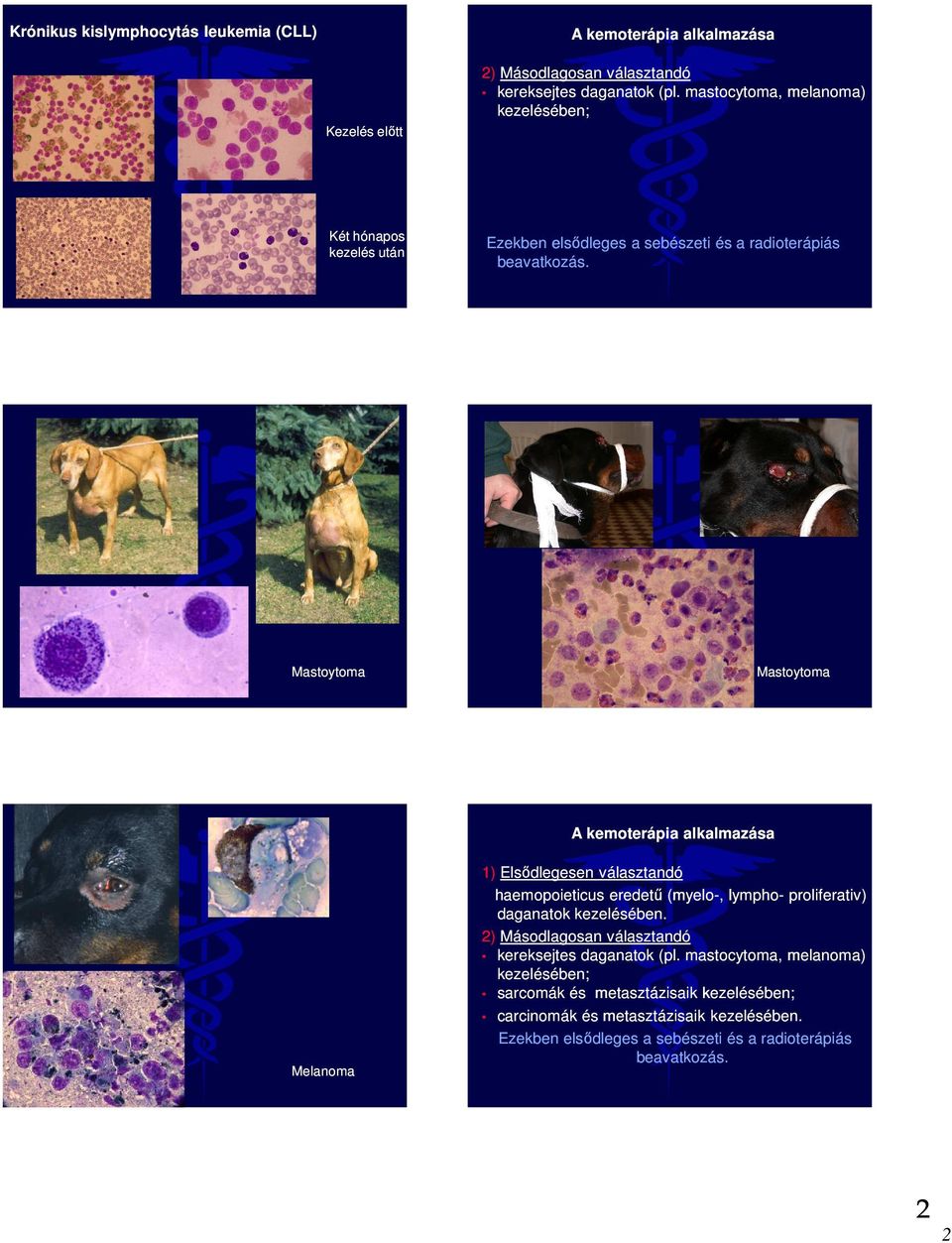 Mastoytoma Mastoytoma Melanoma Melanoma A kemoterápia alkalmazása 1) Elsődlegesen választandó haemopoieticus eredetű (myelo-, lympho- proliferativ) daganatok