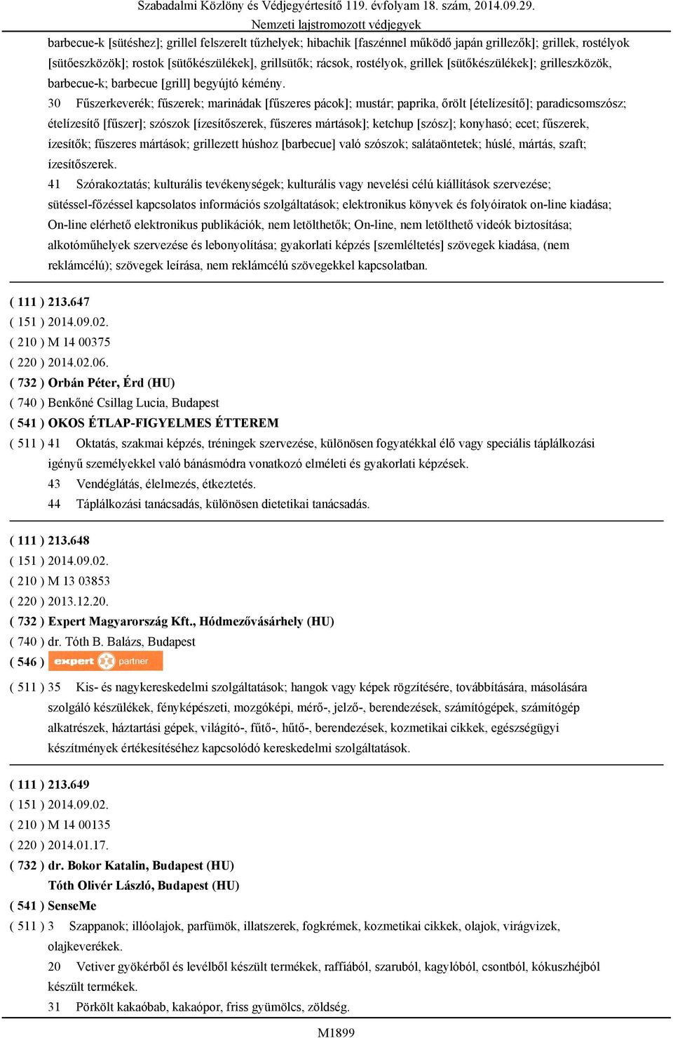 30 Fűszerkeverék; fűszerek; marinádak [fűszeres pácok]; mustár; paprika, őrölt [ételízesítő]; paradicsomszósz; ételízesítő [fűszer]; szószok [ízesítőszerek, fűszeres mártások]; ketchup [szósz];