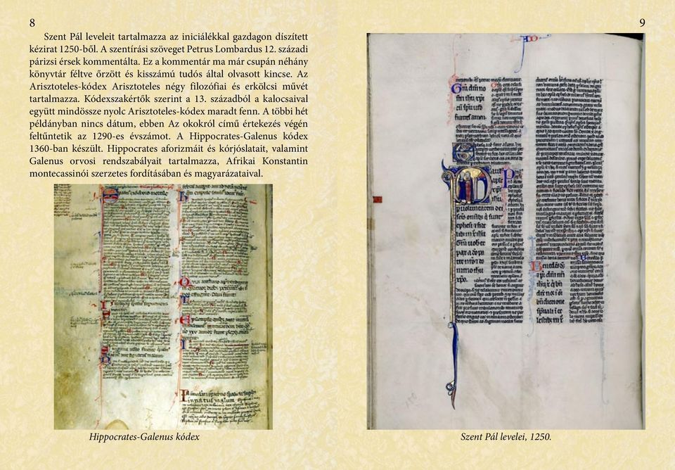 Kódexszakértők szerint a 13. századból a kalocsaival együtt mindössze nyolc Arisztoteles-kódex maradt fenn.