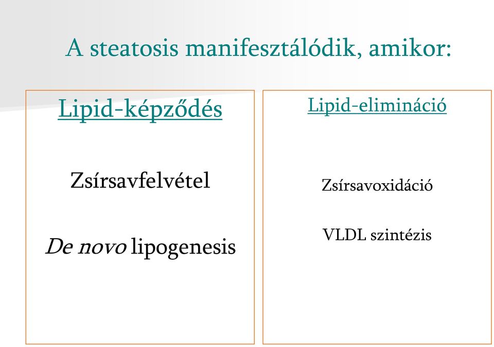Lipid-elimináció Zsírsavfelvétel