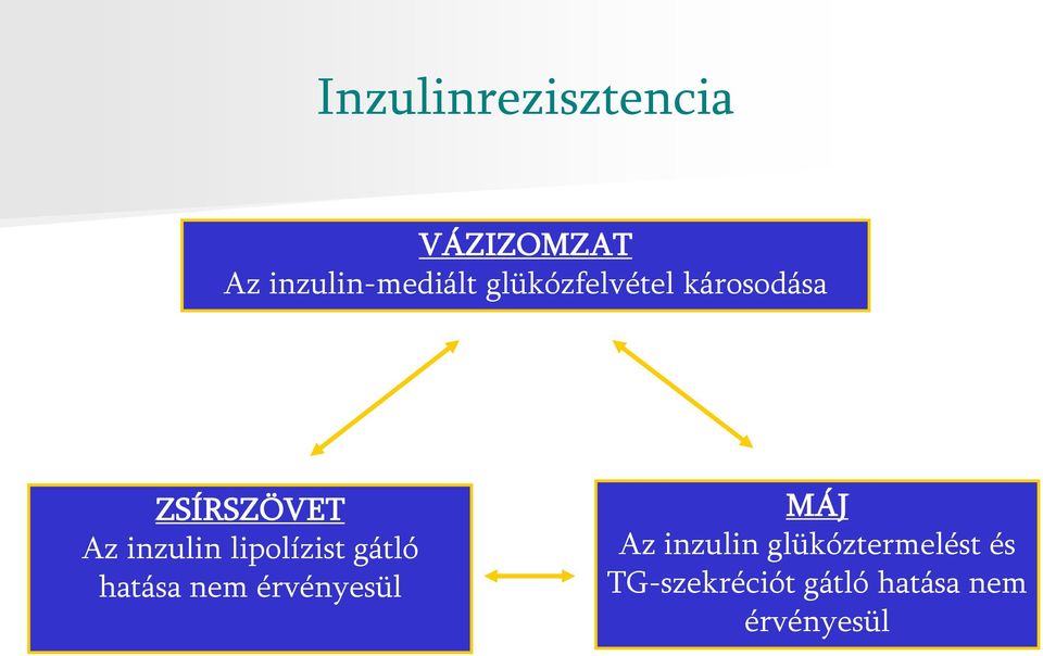 lipolízist gátló hatása nem érvényesül MÁJ Az