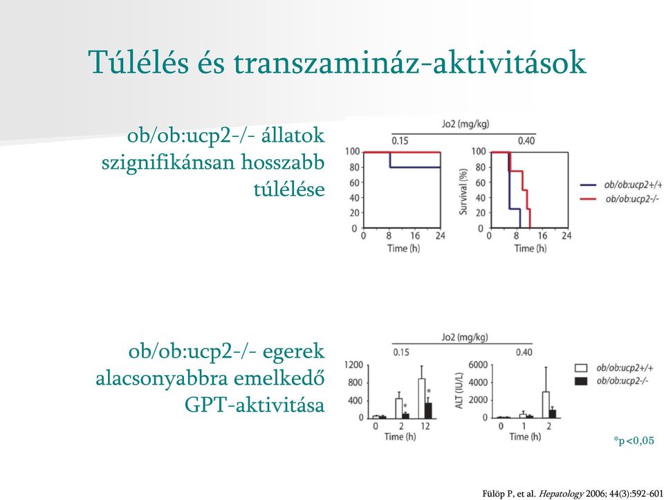 ob/ob:ucp2-/- egerek alacsonyabbra emelkedő