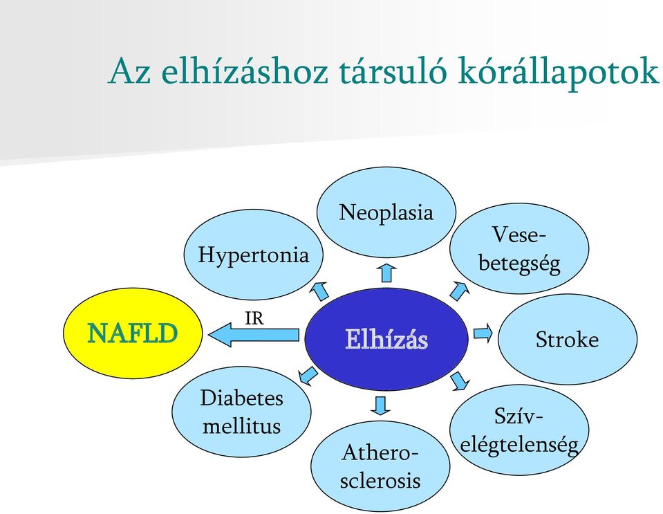 NAFLD IR Elhízás Stroke Diabetes