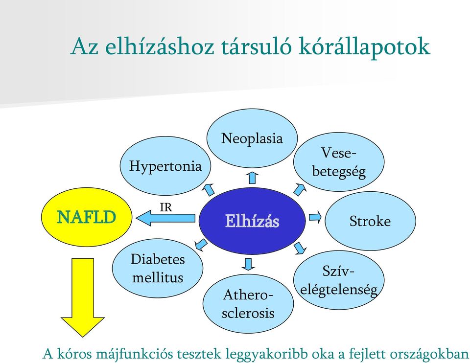 Diabetes mellitus Atherosclerosis Szívelégtelenség A