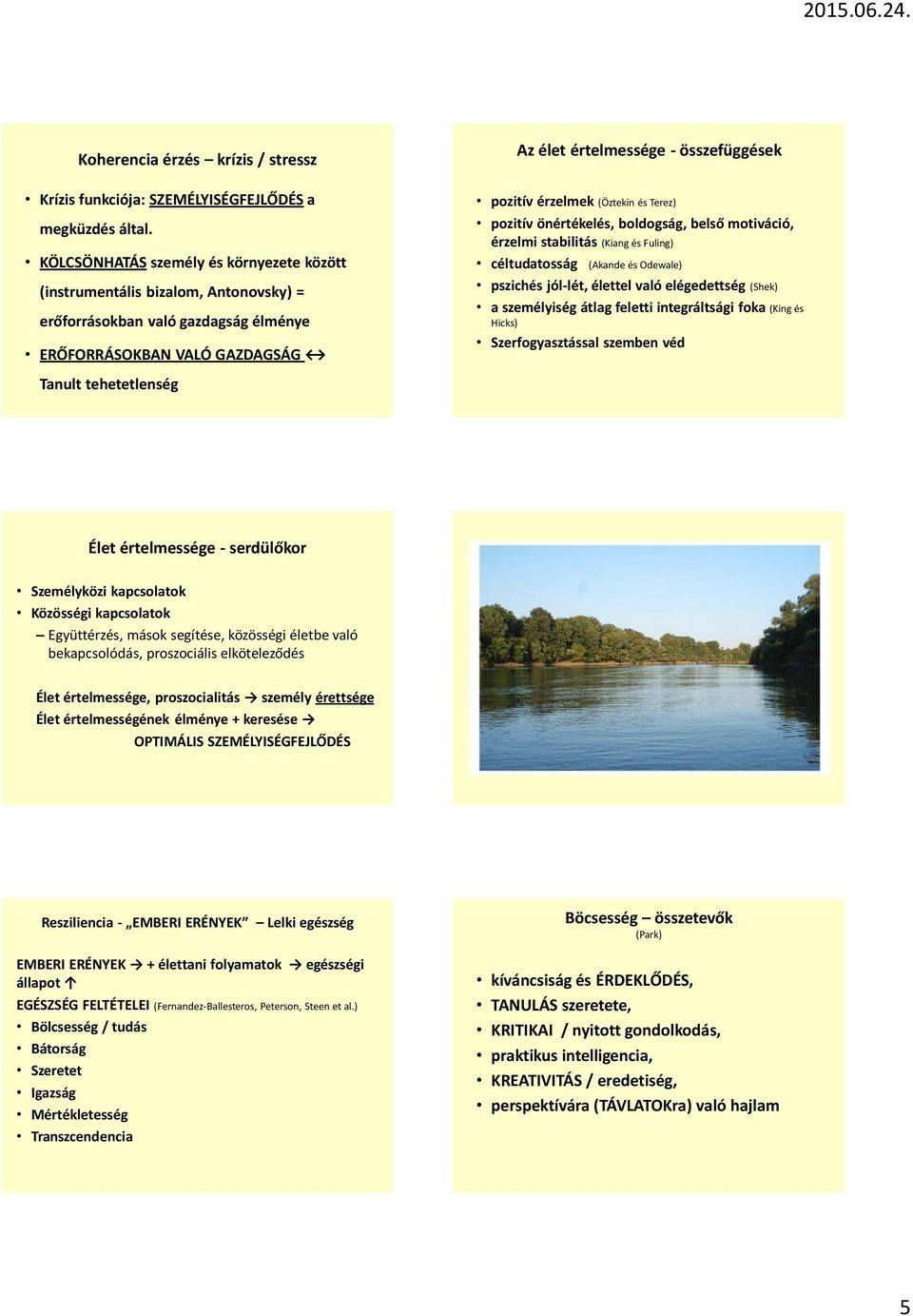 Terez) pozitív önértékelés, boldogság, belső motiváció, érzelmi stabilitás (Kiang és Fuling) céltudatosság (Akande és Odewale) pszichés jól-lét, élettel való elégedettség (Shek) a személyiség átlag