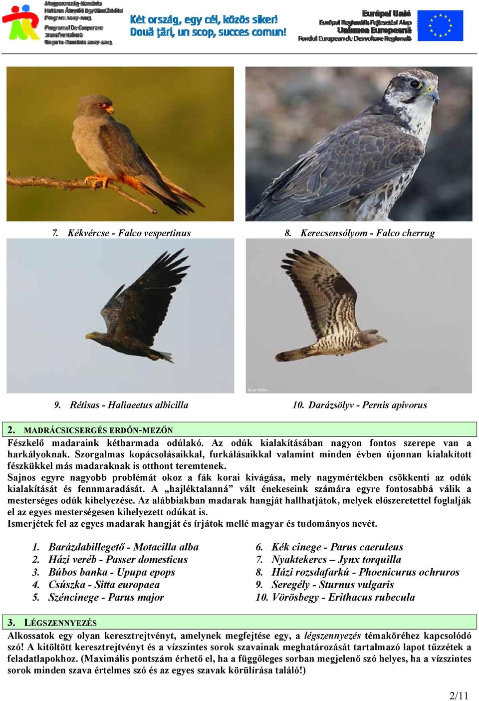 Szorgalmas kopácsolásaikkal, furkálásaikkal valamint minden évben újonnan kialakított fészkükkel más madaraknak is otthont teremtenek.