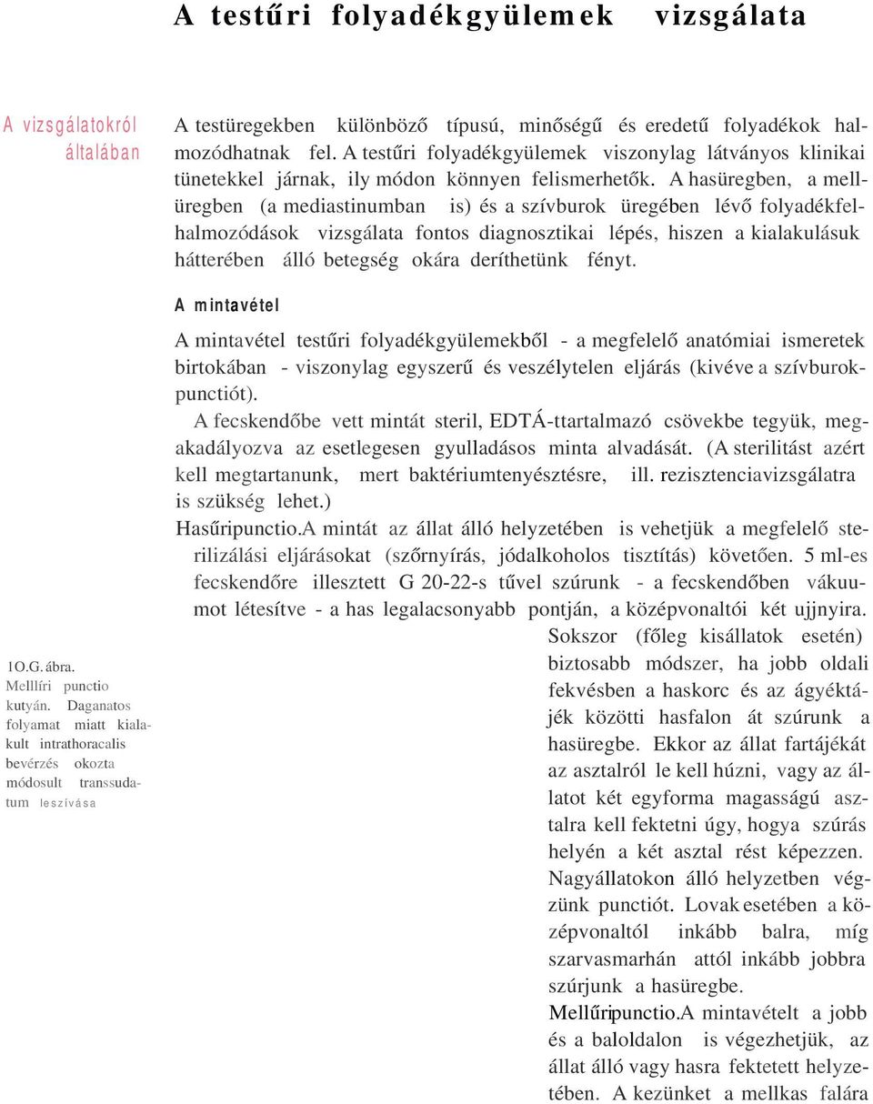 A hasüregben, a mellüregben (a mediastinumban is) és a szívburok üregében lévő folyadékfelhalmozódások vizsgálata fontos diagnosztikai lépés, hiszen a kialakulásuk hátterében álló betegség okára